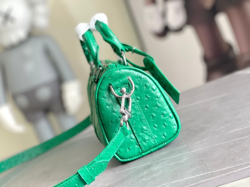 LV Speedy Bags